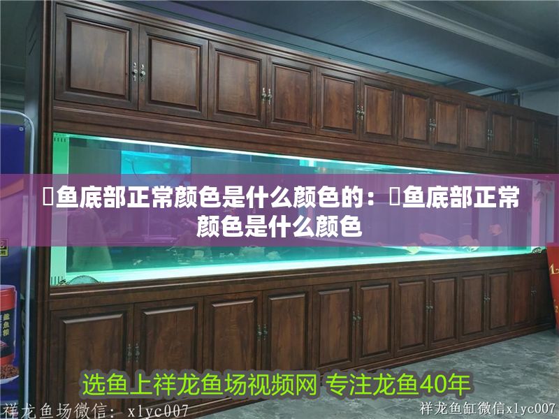 魟魚底部正常顏色是什么顏色的：魟魚底部正常顏色是什么顏色