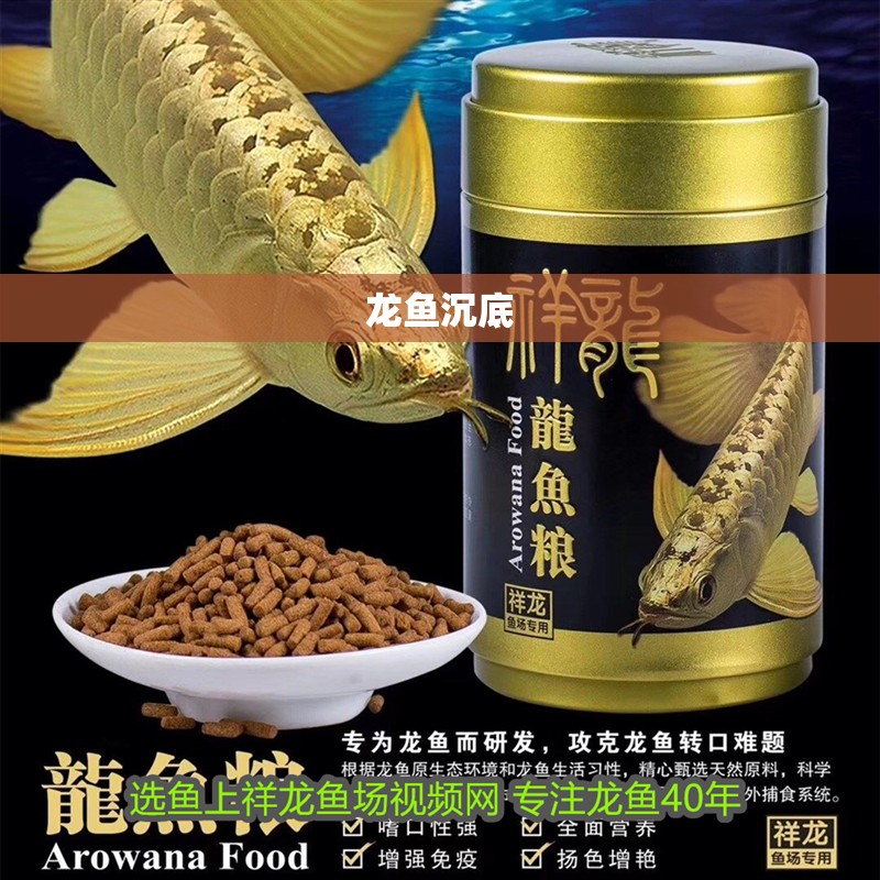 龍魚沉底