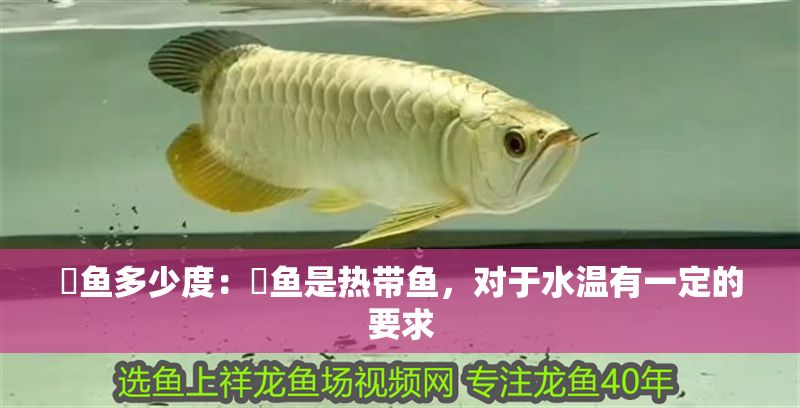 魟魚多少度：魟魚是熱帶魚，對于水溫有一定的要求