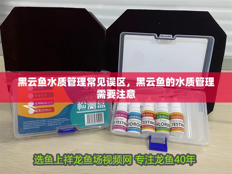 黑云魚(yú)水質(zhì)管理常見(jiàn)誤區(qū)，黑云魚(yú)的水質(zhì)管理需要注意