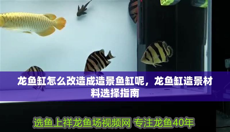 龍魚(yú)缸怎么改造成造景魚(yú)缸呢，龍魚(yú)缸造景材料選擇指南