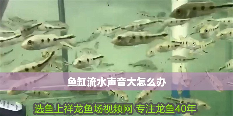魚缸流水聲音大怎么辦