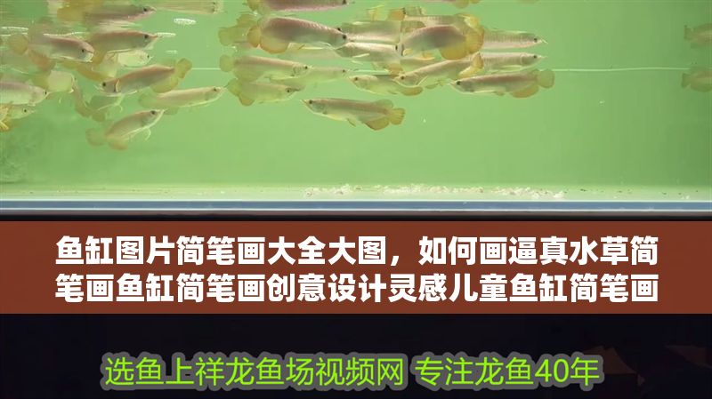 魚缸圖片簡筆畫大全大圖，如何畫逼真水草簡筆畫魚缸簡筆畫創意設計靈感兒童魚缸簡筆畫入門指南
