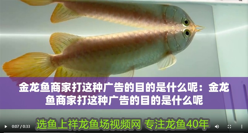 金龍魚商家打這種廣告的目的是什么呢：金龍魚商家打這種廣告的目的是什么呢