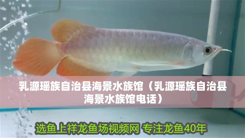 乳源瑤族自治縣海景水族館（乳源瑤族自治縣海景水族館電話）
