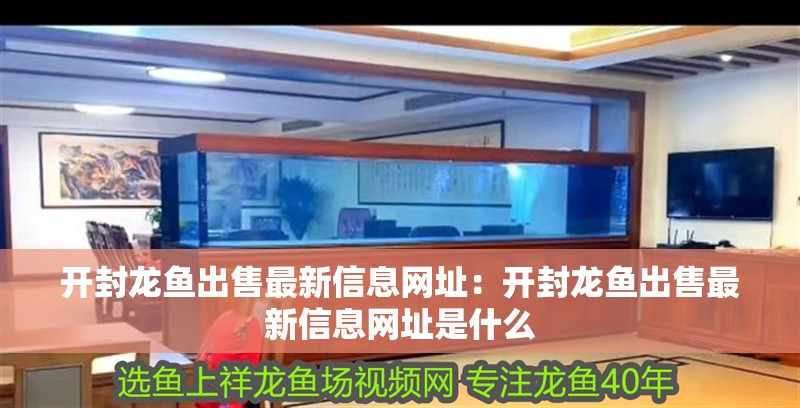 開封龍魚出售最新信息網址：開封龍魚出售最新信息網址是什么