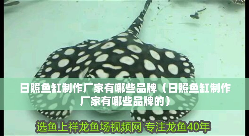 日照魚(yú)缸制作廠家有哪些品牌（日照魚(yú)缸制作廠家有哪些品牌的）
