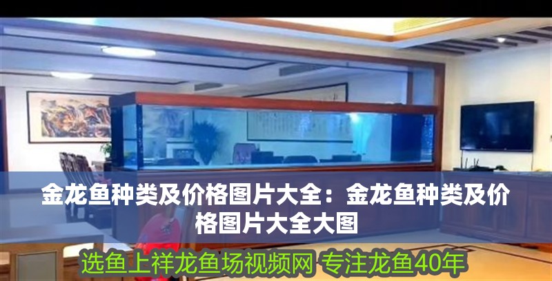 金龍魚種類及價格圖片大全：金龍魚種類及價格圖片大全大圖