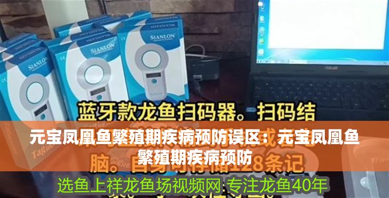 元寶鳳凰魚繁殖期疾病預防誤區：元寶鳳凰魚繁殖期疾病預防