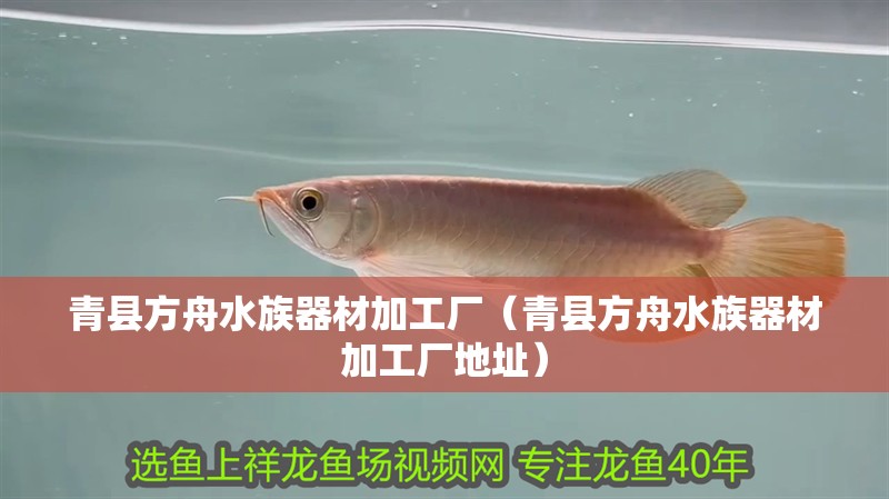 青縣方舟水族器材加工廠（青縣方舟水族器材加工廠地址）