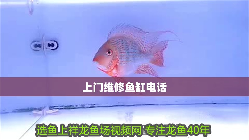 上門維修魚缸電話
