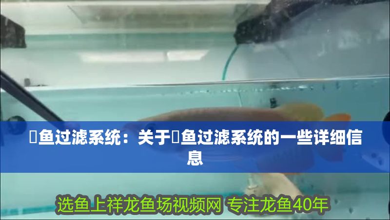 魟魚過濾系統：關于魟魚過濾系統的一些詳細信息