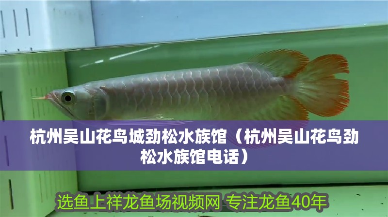 杭州吳山花鳥城勁松水族館（杭州吳山花鳥勁松水族館電話）