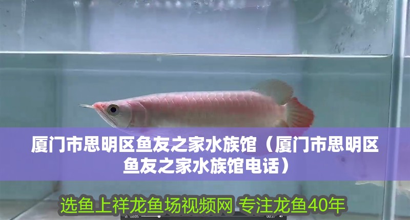 廈門市思明區魚友之家水族館（廈門市思明區魚友之家水族館電話） 廈門市思明區魚友之家水族館（廈門市思明區魚友之家水族館電話） 全國水族館企業名錄 第1張