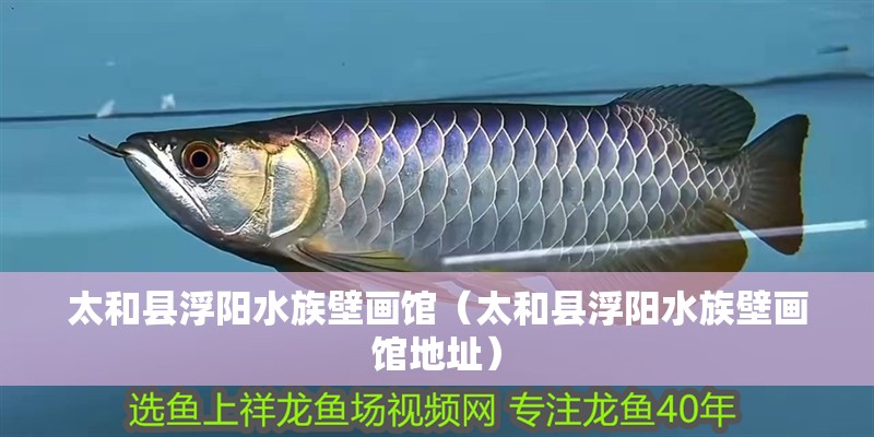 太和縣浮陽水族壁畫館（太和縣浮陽水族壁畫館地址）