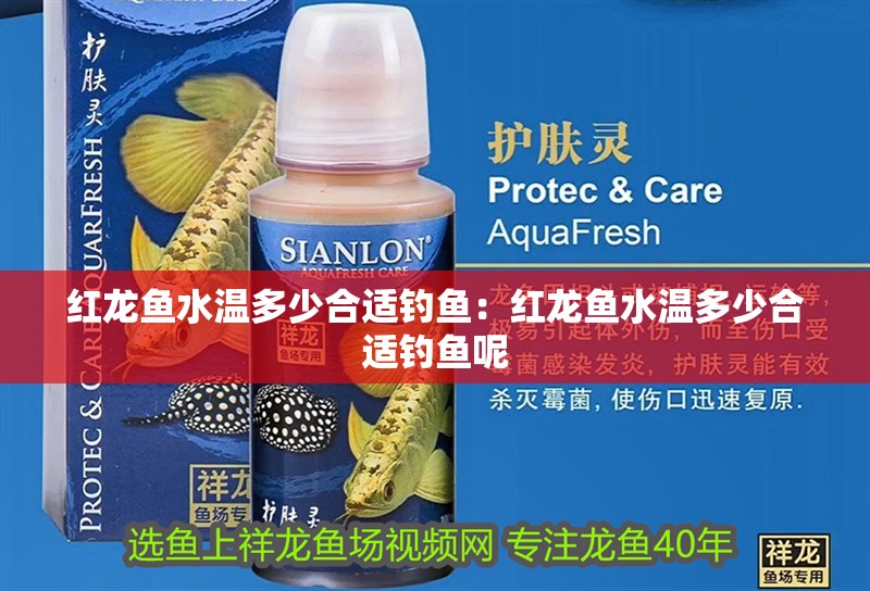 紅龍魚水溫多少合適釣魚：紅龍魚水溫多少合適釣魚呢