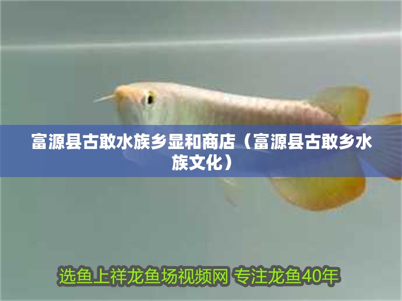 富源縣古敢水族鄉顯和商店（富源縣古敢鄉水族文化） 富源縣古敢水族鄉顯和商店（富源縣古敢鄉水族文化） 全國水族館企業名錄 第2張