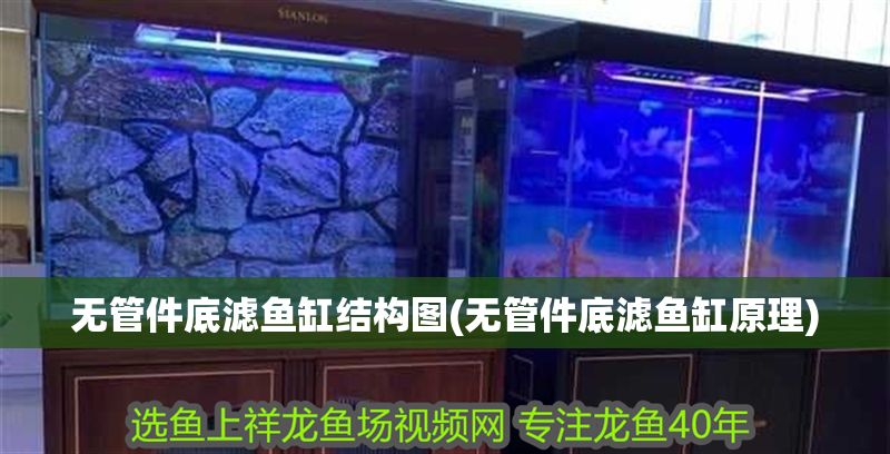 無管件底濾魚缸結構圖(無管件底濾魚缸原理)