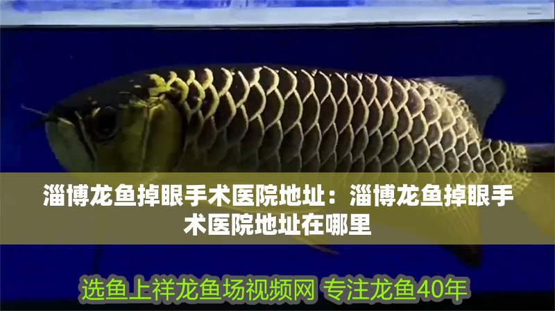 淄博龍魚(yú)掉眼手術(shù)醫(yī)院地址：淄博龍魚(yú)掉眼手術(shù)醫(yī)院地址在哪里