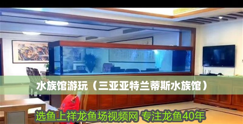 水族館游玩（三亞亞特蘭蒂斯水族館）