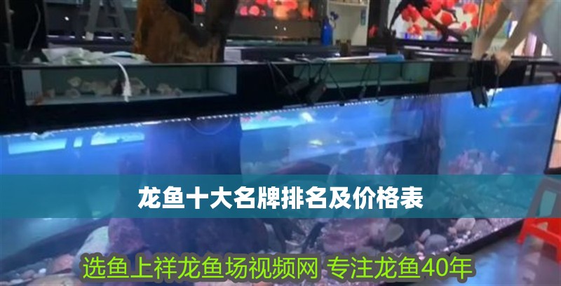 龍魚十大名牌排名及價格表 龍魚百科 第1張 龍魚十大名牌排名及價格表 龍魚十大名牌排名及價格表 龍魚百科 第1張