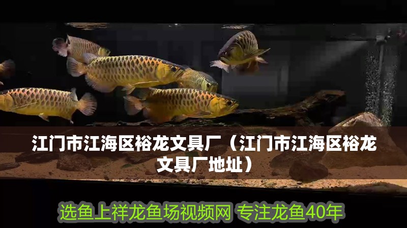 江門市江海區(qū)裕龍文具廠（江門市江海區(qū)裕龍文具廠地址）