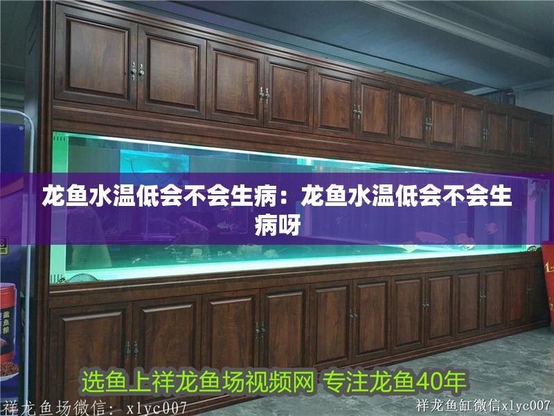 龍魚水溫低會不會生病：龍魚水溫低會不會生病呀