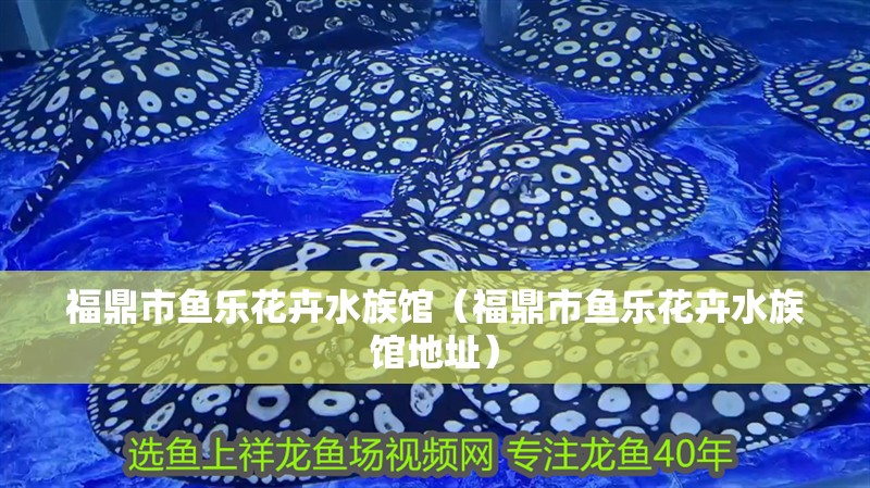 福鼎市魚樂花卉水族館（福鼎市魚樂花卉水族館地址）