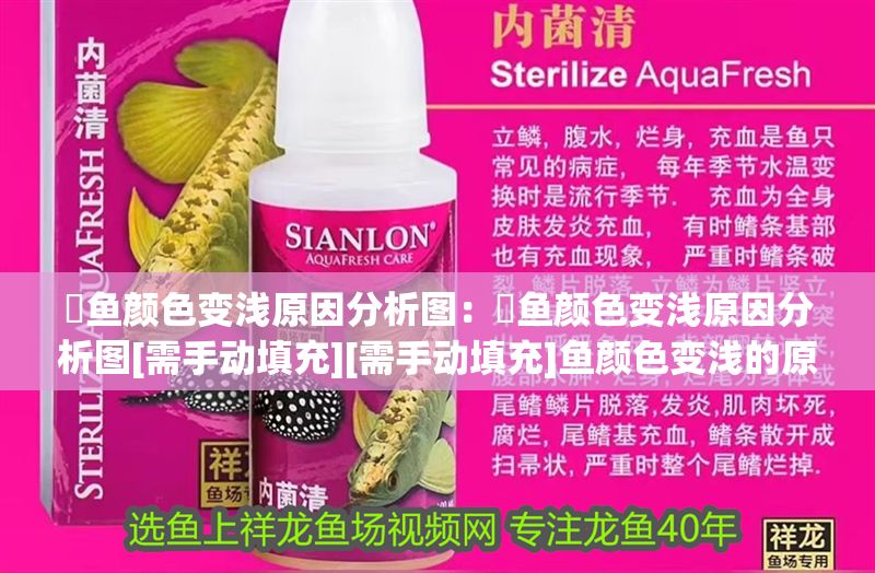 魟魚顏色變淺原因分析圖：魟魚顏色變淺原因分析圖[需手動填充][需手動填充]魚顏色變淺的原因分析