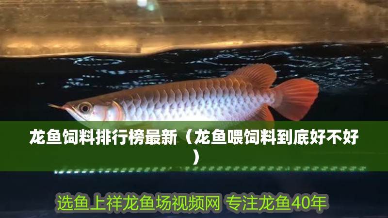 龍魚飼料排行榜最新（龍魚喂飼料到底好不好）