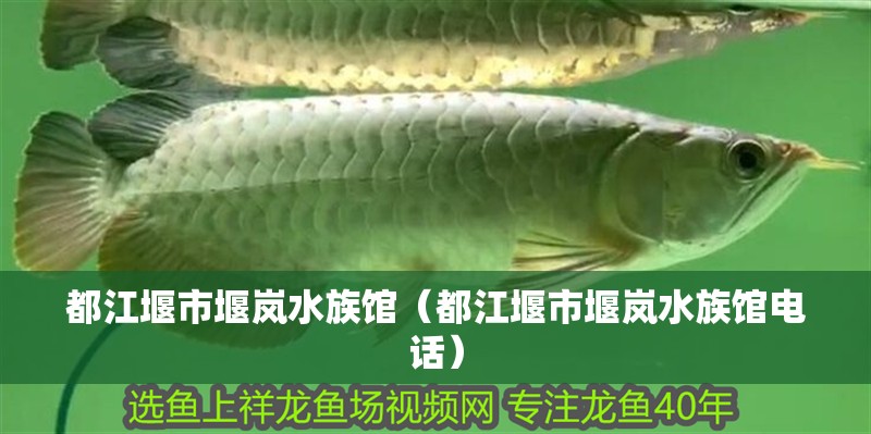 都江堰市堰嵐水族館（都江堰市堰嵐水族館電話） 都江堰市堰嵐水族館（都江堰市堰嵐水族館電話） 全國水族館企業名錄 第2張