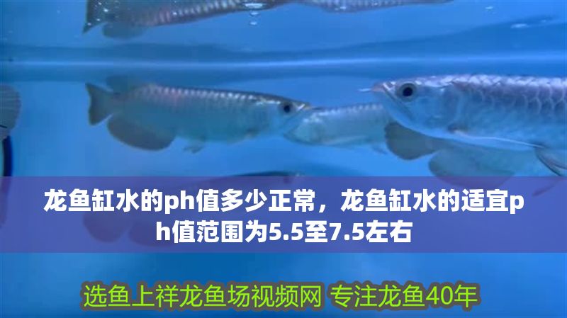 龍魚缸水的ph值多少正常，龍魚缸水的適宜ph值范圍為5.5至7.5左右