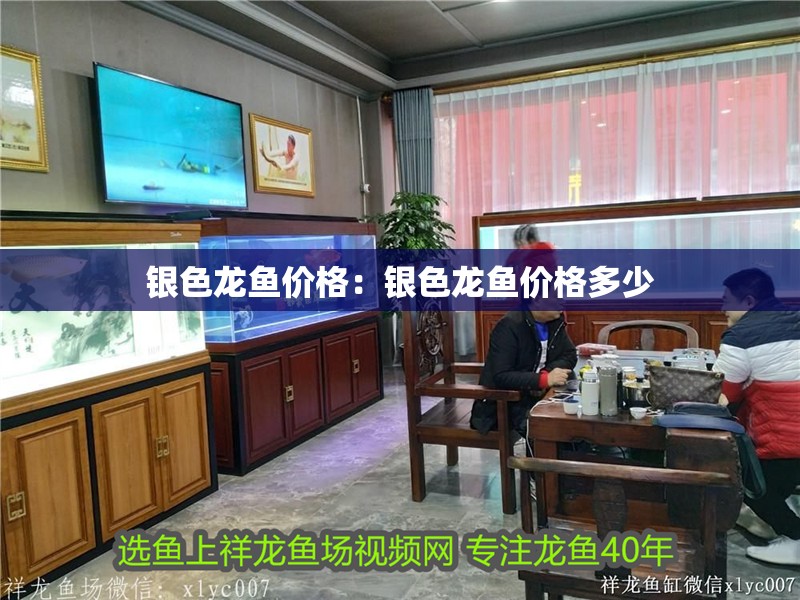 銀色龍魚價格：銀色龍魚價格多少
