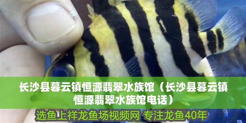 長沙縣暮云鎮恒源翡翠水族館（長沙縣暮云鎮恒源翡翠水族館電話）