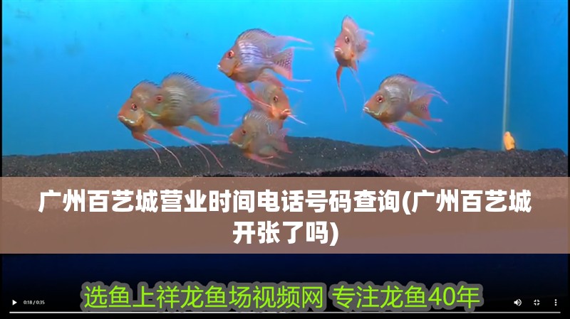 廣州百藝城營業時間電話號碼查詢(廣州百藝城開張了嗎)