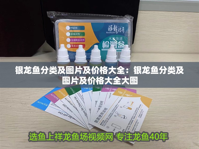 銀龍魚(yú)分類(lèi)及圖片及價(jià)格大全：銀龍魚(yú)分類(lèi)及圖片及價(jià)格大全大圖