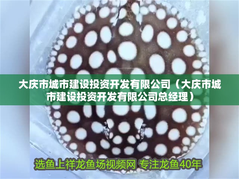 大慶市城市建設投資開發有限公司（大慶市城市建設投資開發有限公司總經理）