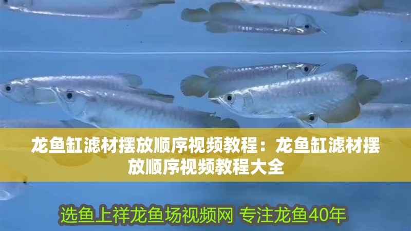 龍魚缸濾材擺放順序視頻教程：龍魚缸濾材擺放順序視頻教程大全