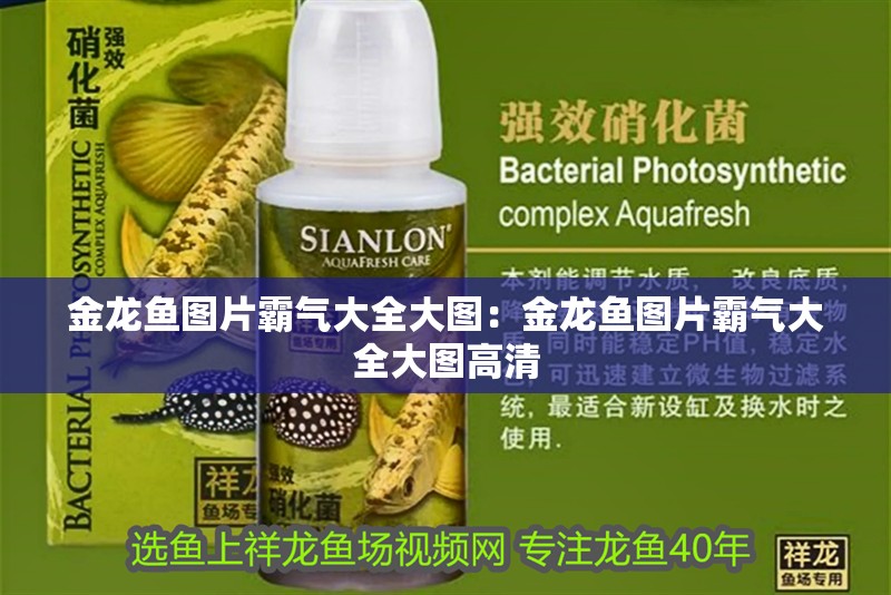 新加坡紅龍和印尼紅龍的區別圖片