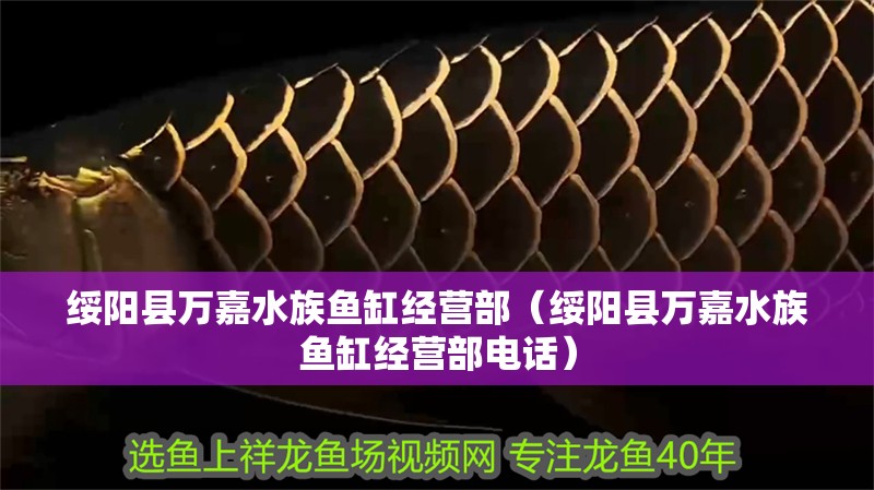 綏陽縣萬嘉水族魚缸經(jīng)營部（綏陽縣萬嘉水族魚缸經(jīng)營部電話）
