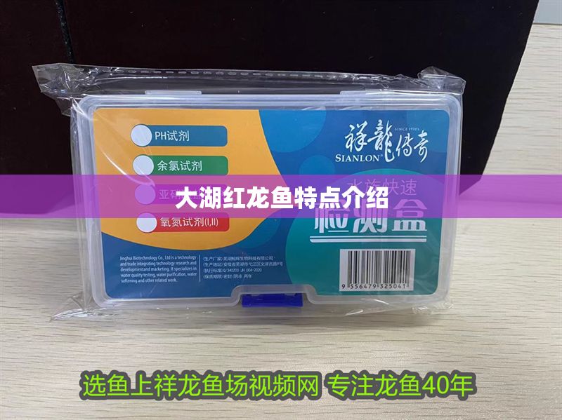 大湖紅龍魚特點介紹