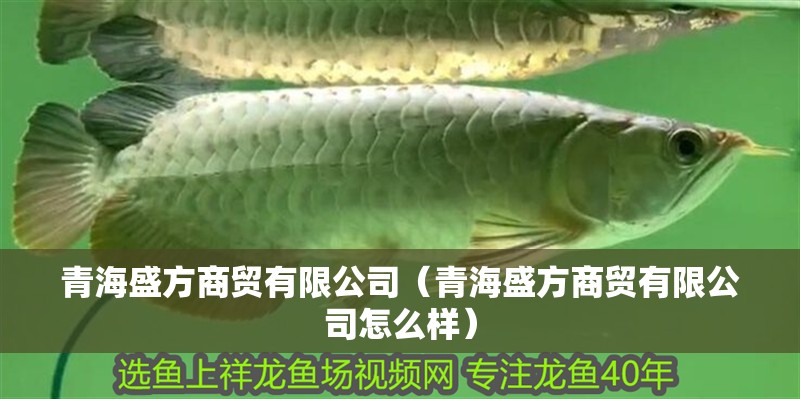 青海盛方商貿有限公司（青海盛方商貿有限公司怎么樣）