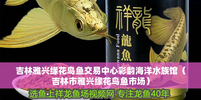 吉林雅興緣花鳥魚交易中心彩韻海洋水族館（吉林市雅興緣花鳥魚市場）