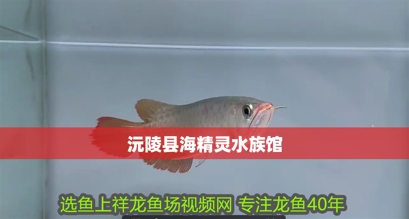 沅陵縣海精靈水族館