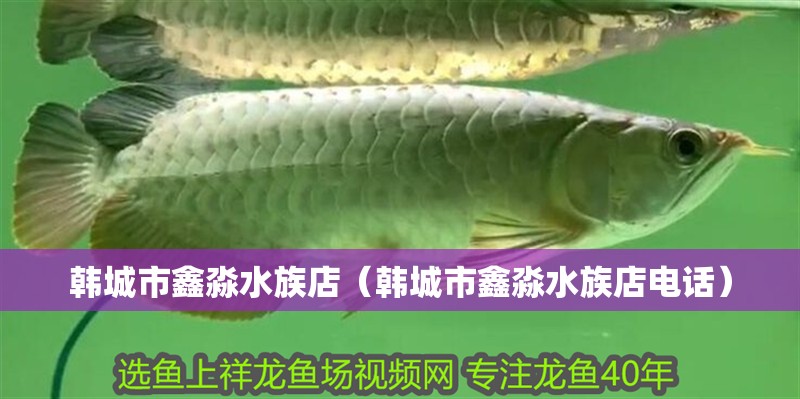 韓城市鑫淼水族店（韓城市鑫淼水族店電話）