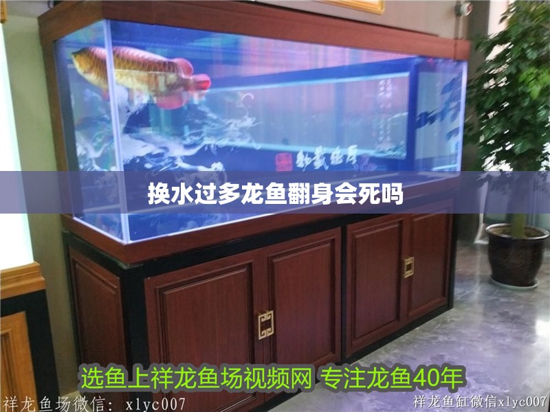 換水過多龍魚翻身會死嗎