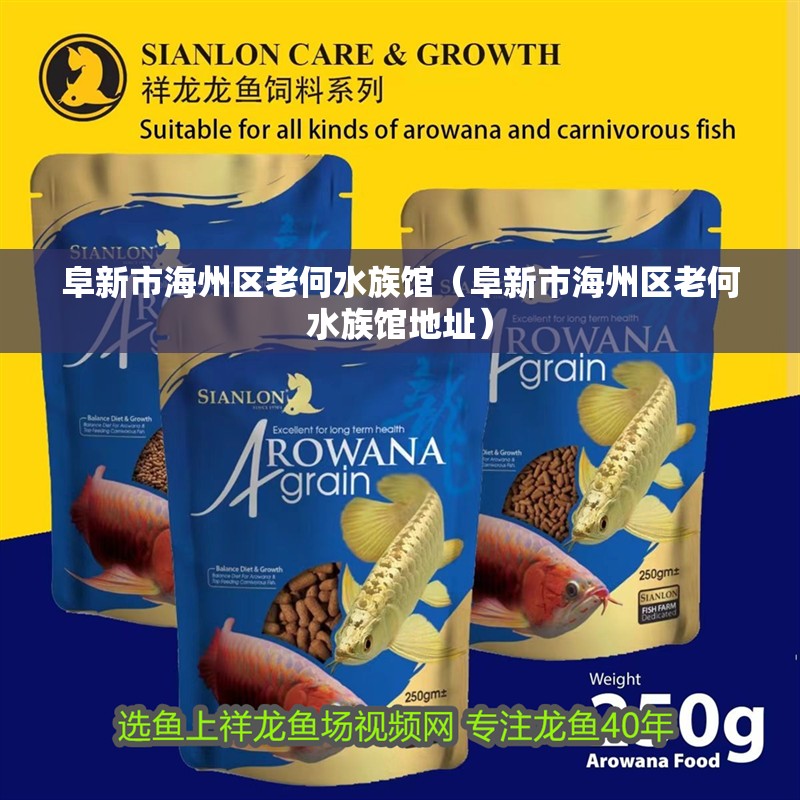 阜新市海州區(qū)老何水族館（阜新市海州區(qū)老何水族館地址） 阜新市海州區(qū)老何水族館（阜新市海州區(qū)老何水族館地址） 全國(guó)水族館企業(yè)名錄 第2張