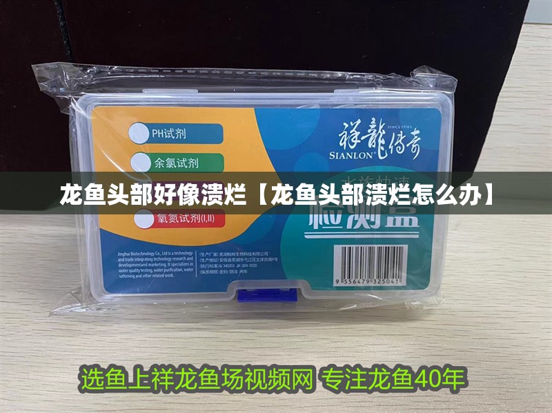 龍魚頭部好像潰爛【龍魚頭部潰爛怎么辦】