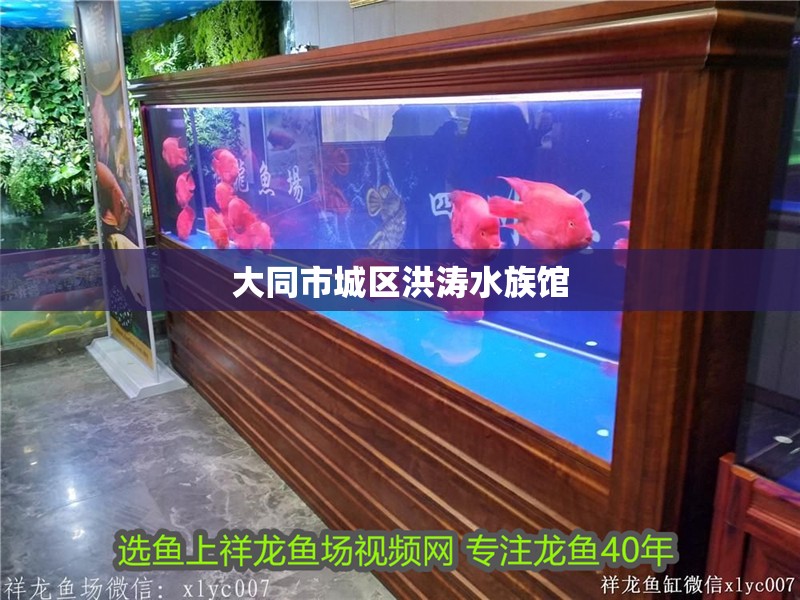 大同市城區洪濤水族館