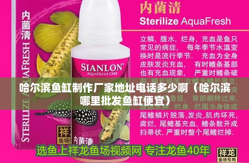哈爾濱魚缸制作廠家地址電話多少啊（哈爾濱哪里批發魚缸便宜）